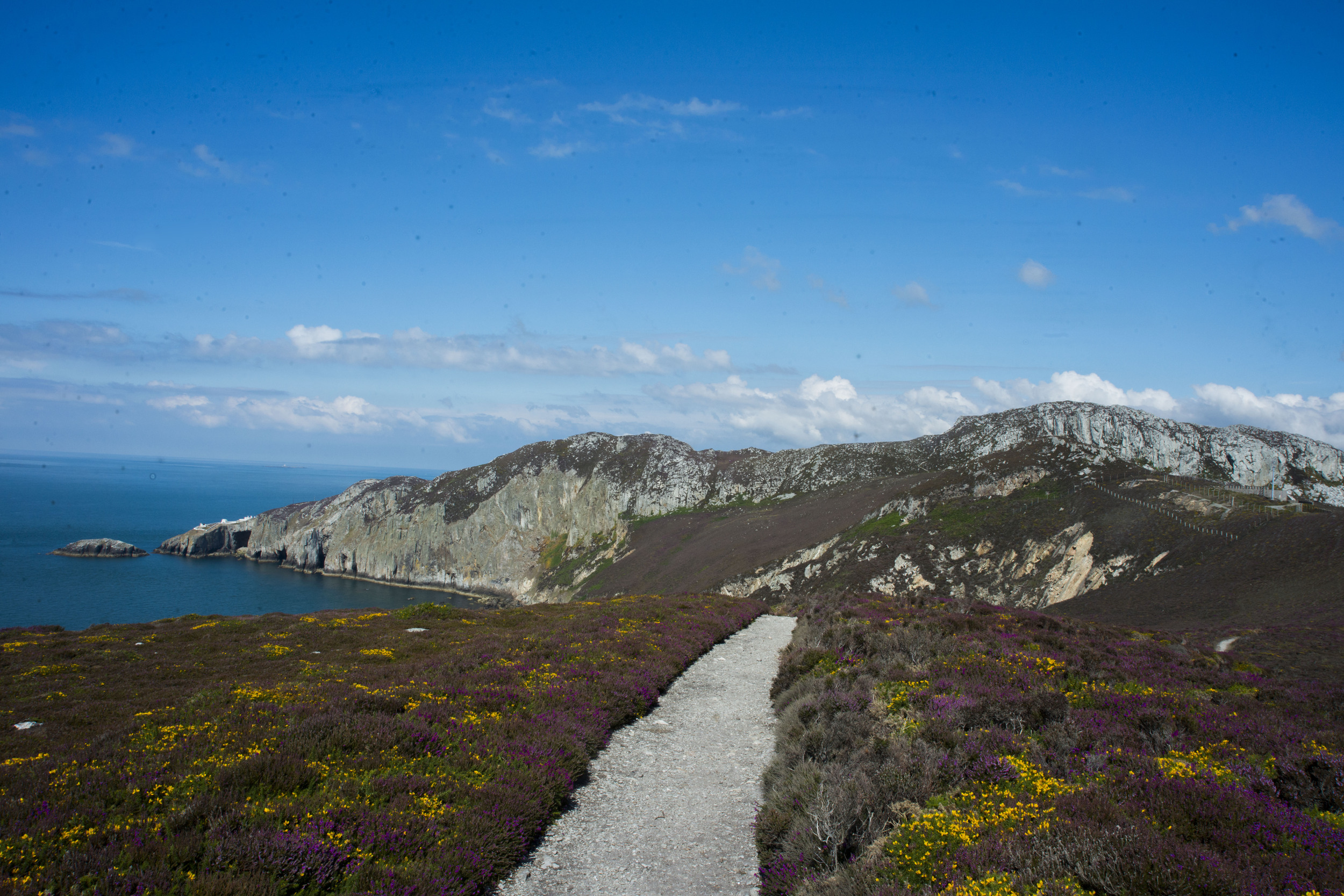 RSPB South Stack