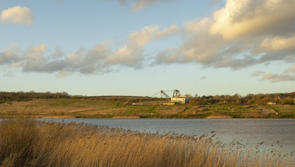 RSPB St Aidan's