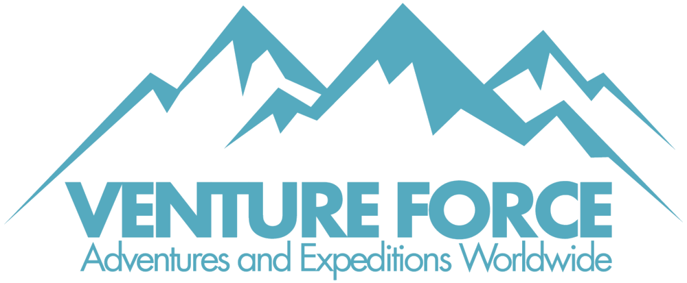 Venture Force logo