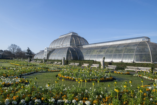 Royal Botanic Gardens, Kew - Kew Gardens