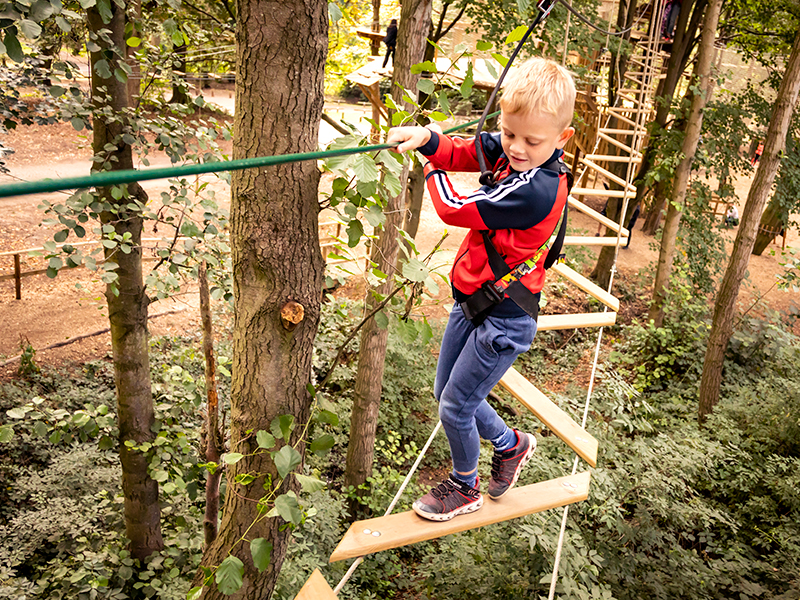 Go Ape Dalkeith Edinburgh Continuous Belay Course